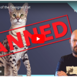 Jackson Galaxy video, "Designer Cats Banned"