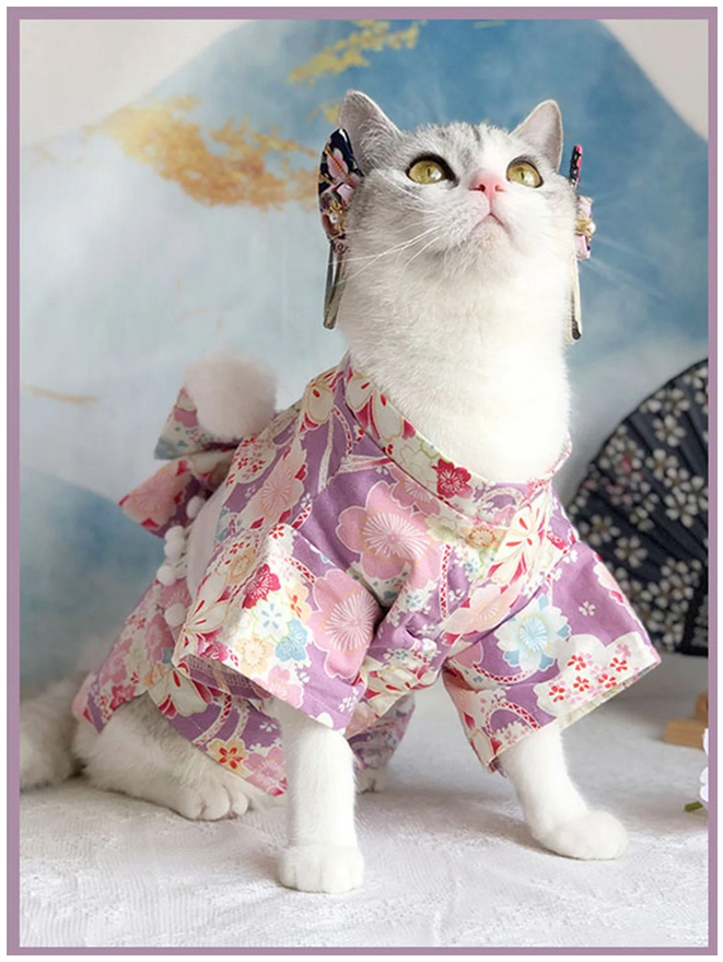 White cat in a lavender kimono costume