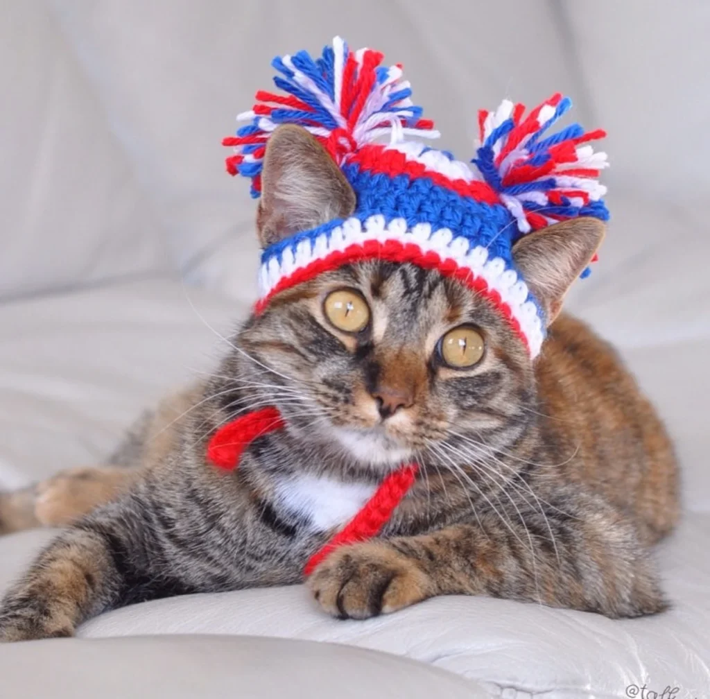 Cat clothes USA beanie