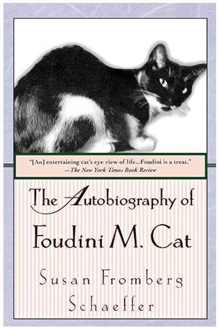 Foudini M. Cat