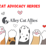 Alley Cat Allies-Cat Advocacy Heroes