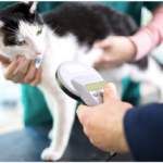 Microchipping your cat