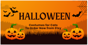 Halloween Costumes For Cats To Order Now From Etsy