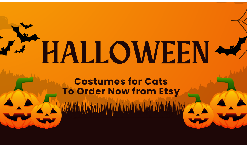 Halloween Costumes For Cats To Order Now