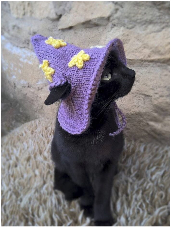 Costumes for cats: Purple Wizard Cat Hat