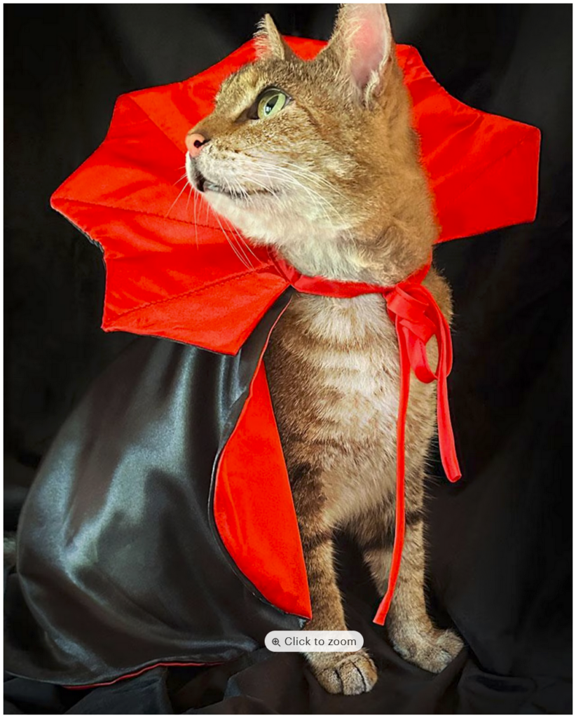 Costumes for cats: vampire cat cape