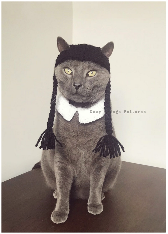 Costumes for cats: Wednesday Adams Wig and Collar