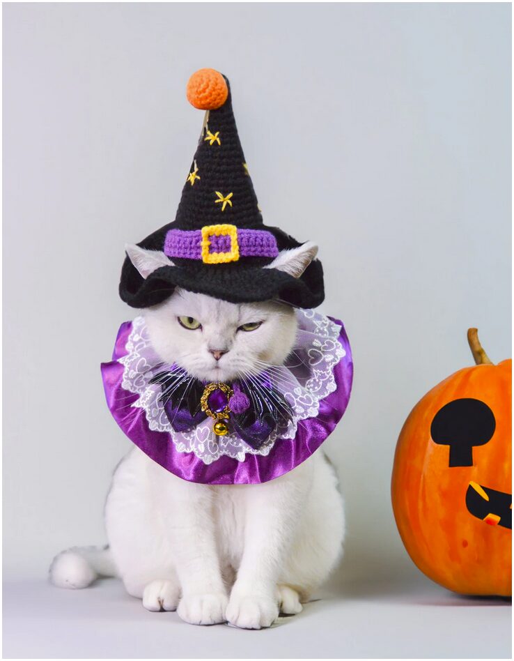 Costumes for cats: Witch Set SALE