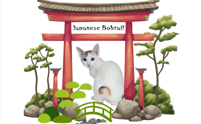 The Fascinating World of Japanese Bobtail Cats